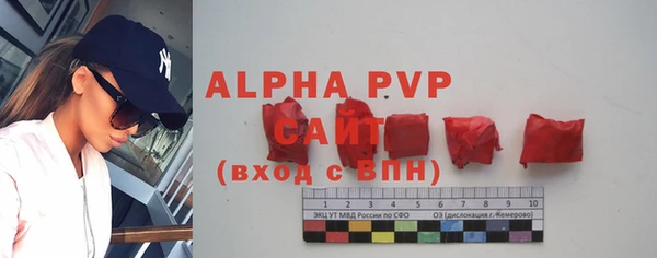 крисы Козельск