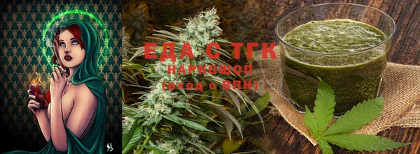 шишки Кодинск