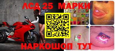 spice Кандалакша