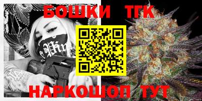 spice Кандалакша