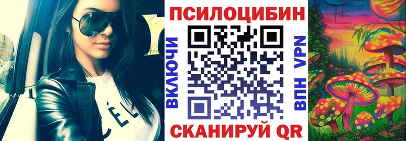 KRAKEN tor  Чебаркуль  Псилоцибиновые грибы GOLDEN TEACHER 