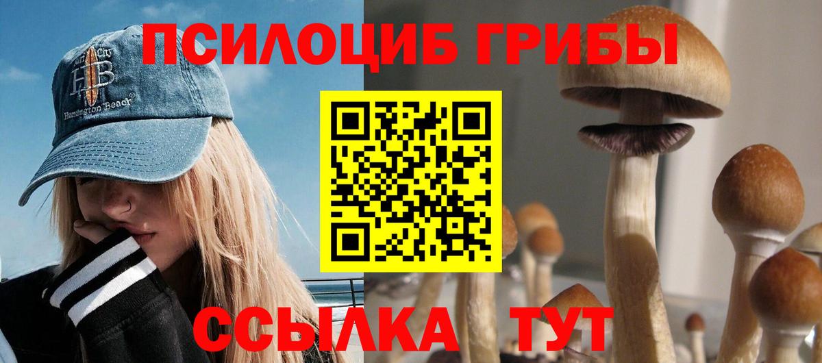 Псилоцибиновые грибы Psilocybe  Вход с VPN  Чебаркуль 
